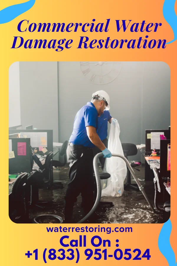 Commercial Water Damage Restoration in Alba, TX
