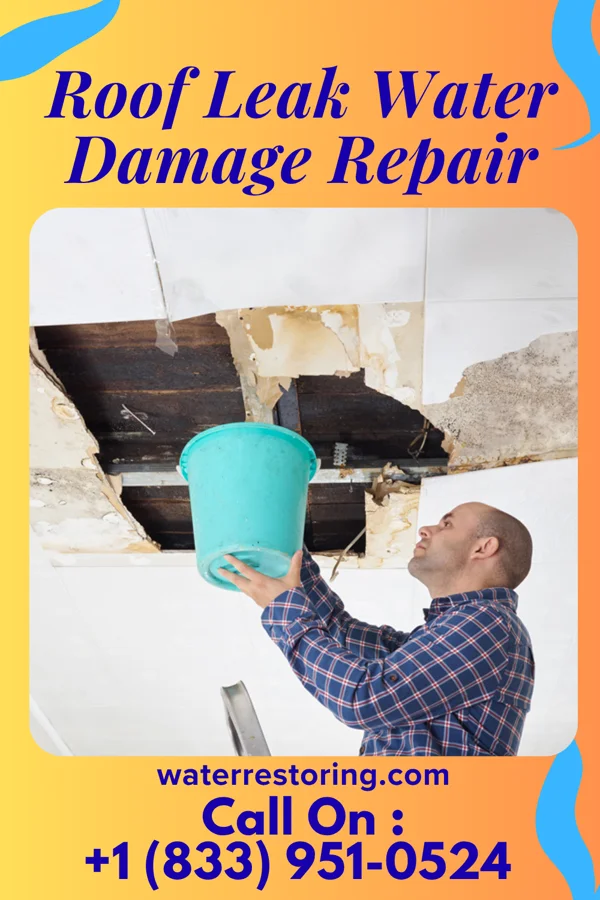 Roof Leak Water Damage Repair in Alba, TX