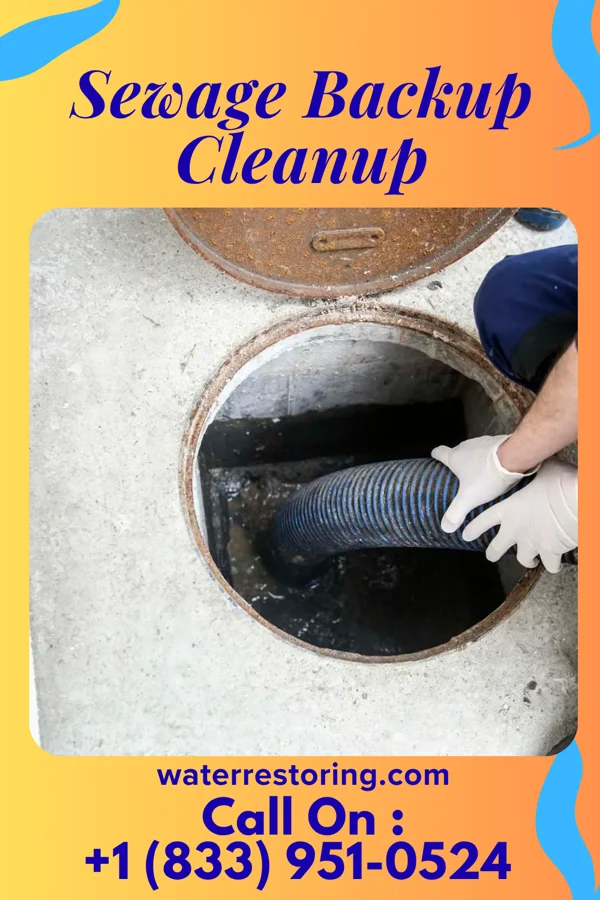Sewage Backup Cleanup in Alba, TX